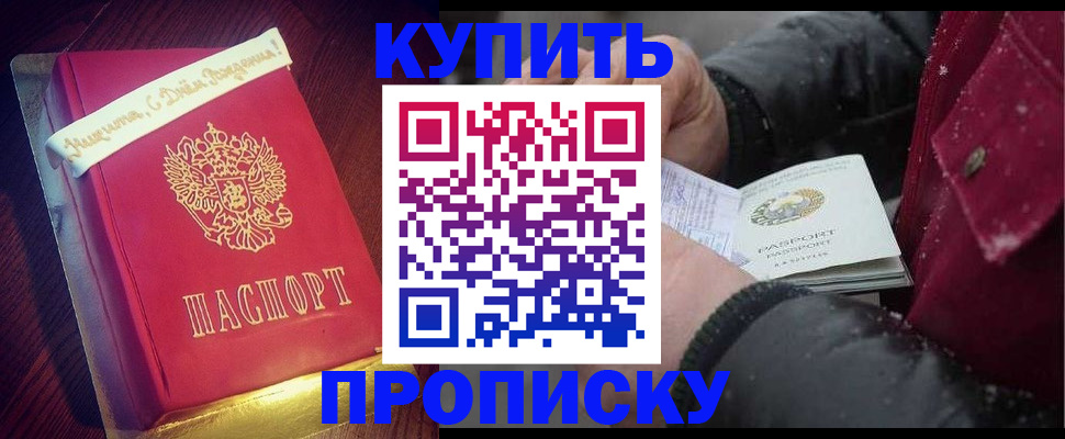 прописка гарантия в Бородино